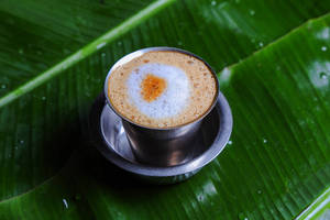 Filter Coffee [bf]