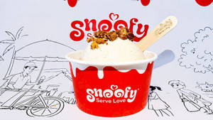 Arabian Anjeer Ice Cream