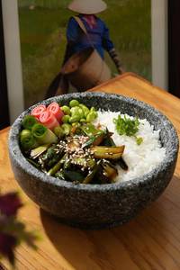 Donburi Rice Bowl