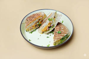 Mexican Falafel Panini