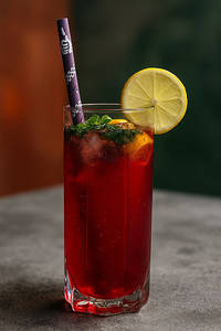 Cranberry Mojito