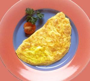 Plain Egg Omelette