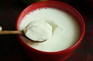 Homemade curd