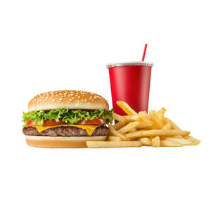 Veg Cheese Burger + Fries