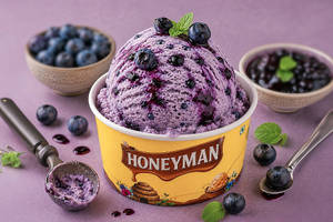 Wild Blueberry Ice Cream Scoop