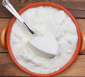 Plain curd dahi
