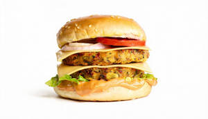 Big Fat Veg Burger