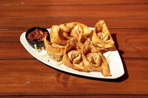 Chicken Fried Wontons