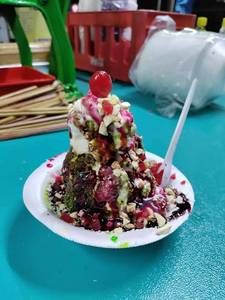 Plain Dish Black Current Gola