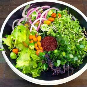 Fresh garden