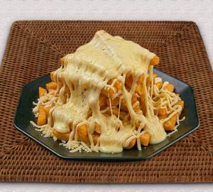 Cheesy cheese fries