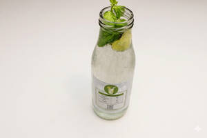 0 Calorie Lemon Mojito