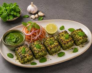 Paneer Pudina Tikka [Diet]