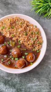 Veg manchurian with fried rice