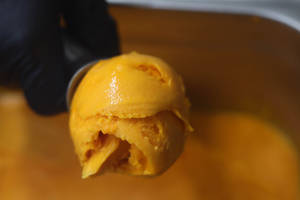 Mango Sorbet