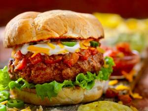 Spicy Salsa Barbeque Burger