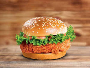 Chicken Tandoori Burger