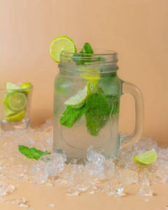 Fresh Mint Shikanji