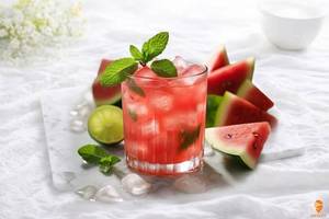 Watermelon Mojito