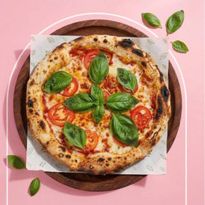 Classic Pomodoro ( Neapolitan )