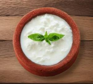 Plain Dahi