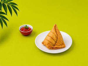 Noodles Samosa