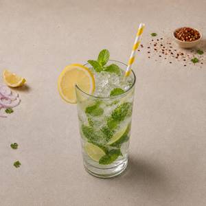 Virgin Mint Mojito