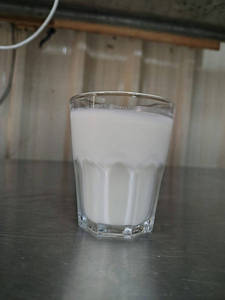Plain Butter Milk