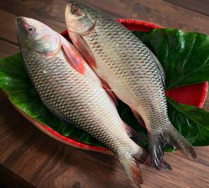 Fresh Dasi Janto Rui Fish Whole (Bengali Cut Cleaned)1Kg With Head With Tail 8-10Pic