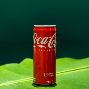 Coca Cola Can