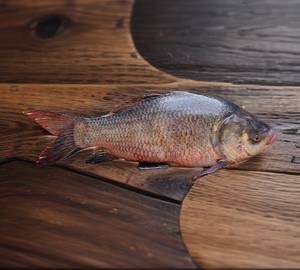 Fresh Dasi Janto Katla Fish Whole (Bengali Cut Cleaned)1kg with Head with tail 8-10pic