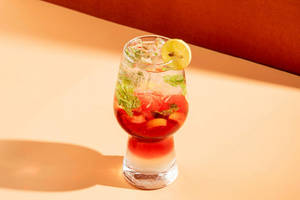 Cranberry Mojito
