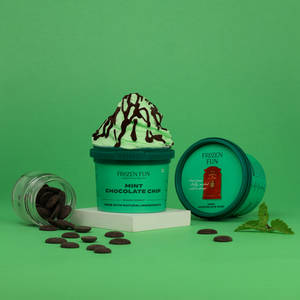 Mint Chocolate Chip Gelato 100 ml