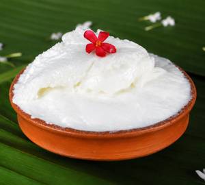 Plain Dahi (Tok Dahi)
