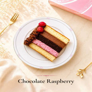 Chocolate Vanilla Raspberry Cake Slice