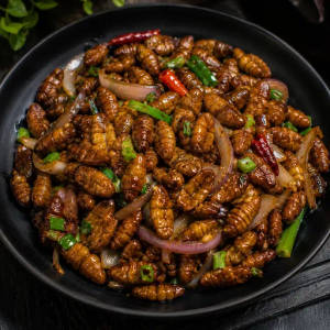 Silkworm [per plate]