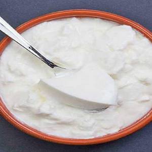 Curd