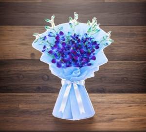 6 Blue Orchid
