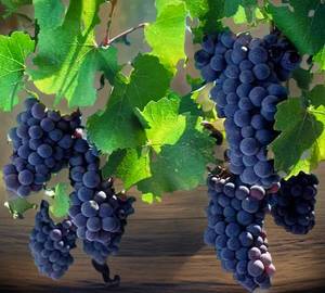 Grape Juice (750 Ml