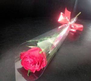 1 Pcs Red Rose