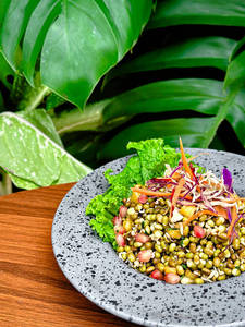Sprout Salad