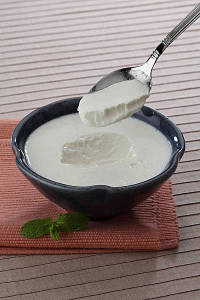 Dahi Plain