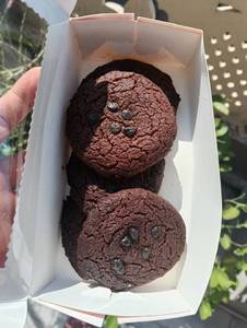 Choco Chip