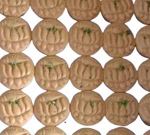 Podda sondesh