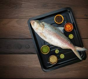 Fresh Hilsa Big [Gross Wt 1.2 Kg]