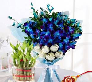 Orchid With Rakhi Comboo