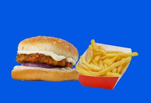 Happy Veg Burger + FRIES Combo
