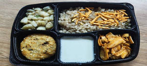 Fasting Thali