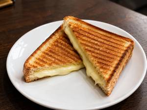 Plain Cheese Grilled Sandwich