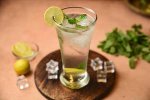 Mint Mojito